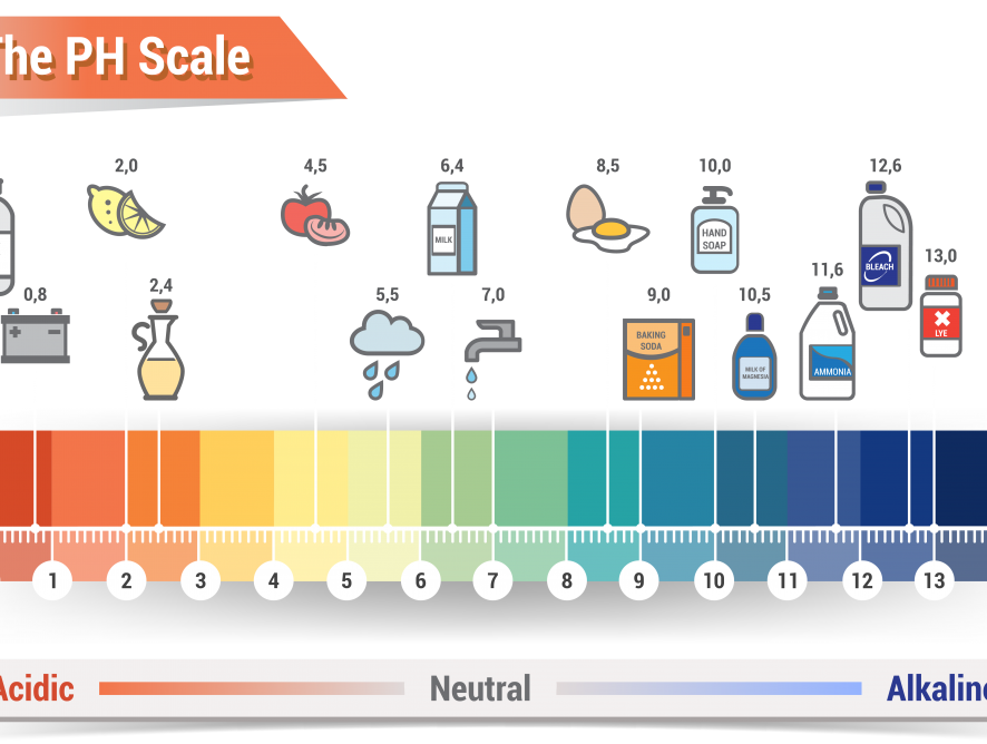 บทความ pH ตัวบ่งชี้ความเป็นกรด-เบส