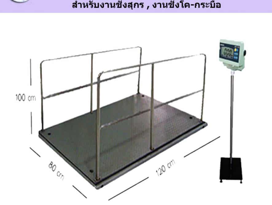 เครื่องชั่งน้ำหนักวัว สุกร ปศุสัตว์ แบบกรง คอก ชั่งทีละตัว Farmer Weighting Scale | Tonan Asia Autotech