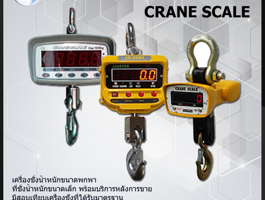 เครื่องชั่งแบบแขวน Crane Scale