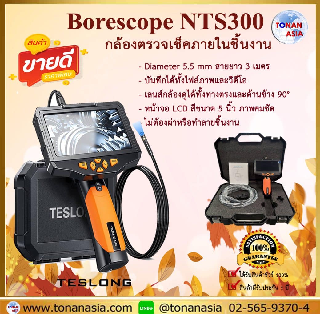 Borescope NTS300