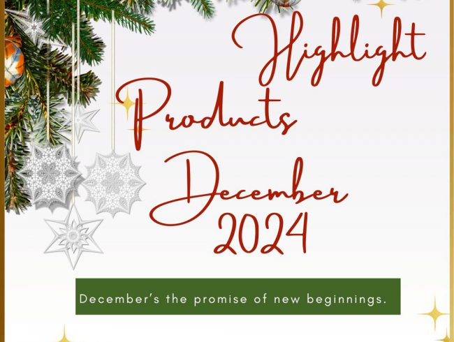 Promotion of December 2024 โปรโมชั่น เดือนธันวาคม 2567